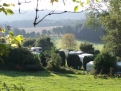 Camping de Durnal - Le Pommier Rustique*** in 5530 Durnal / Wallonia / Belgium