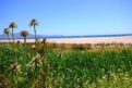 Camping Amfora in 17470 Sant Pere Pescador / Catalonia / Spain