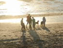 Hundespaziergang am Strand