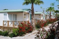Camping Playa Cambrils Don Camilo in 43850 Cambrils / Province of Tarragona / Spain