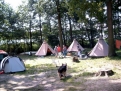 Campingplatz am Gobenowsee in 17255 Drosedow / Mecklenburg-Vorpommern / Germany