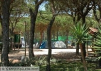 Camping Doñana Playa in 21130 Mazagon / Huelva / Spain
