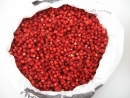 Walderdbeeren