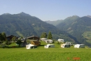 Bauerncamping Oberhasenberghof in 5660 Taxenbach / Zell am See / Austria