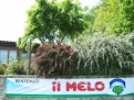 CAMPING IL MELO in 12016 Peveragno / Piedmont / Italy