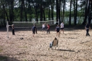 Volleyballfeld