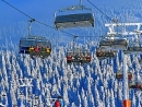 Feldberg im Schwarzwald