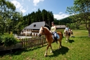 Bauernhof mit Reitunterricht und vielen Tieren