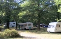 Bois de Saint-Hilaire in 86190 Chalandray / Poitou-Charentes / France