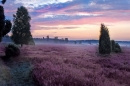 Das Camp liegt im Herzen der Lüneburger Heide