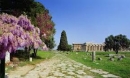 templi di paestum