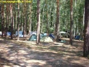 Camping im Wald