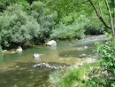 River Bourne directly by the Campsite..