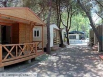 Camping Barraquetes in 46410 Sueca / Valencian Community / Spain