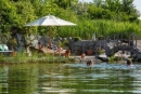 Entspannen am Naturbadesee im Campingplatz Max 1