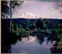 Elk Meadows Rv Park in 98650 Trout Lake / Klickitat / United States