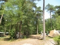 Natuurcamping Fazantenhof in 3739 Hollandsche Rading / De Bilt / Netherlands