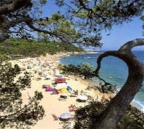 Camping Internacional De Calonge in 17251 Calonge / Catalonia / Spain