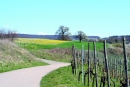 Blick Richtung Campingplatz