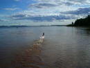 Hundestrand für die Vierbeiner