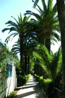  le palme street