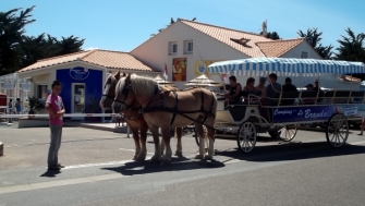 Hier klicken, um alle Bilder der Galerie betrachten zu können.